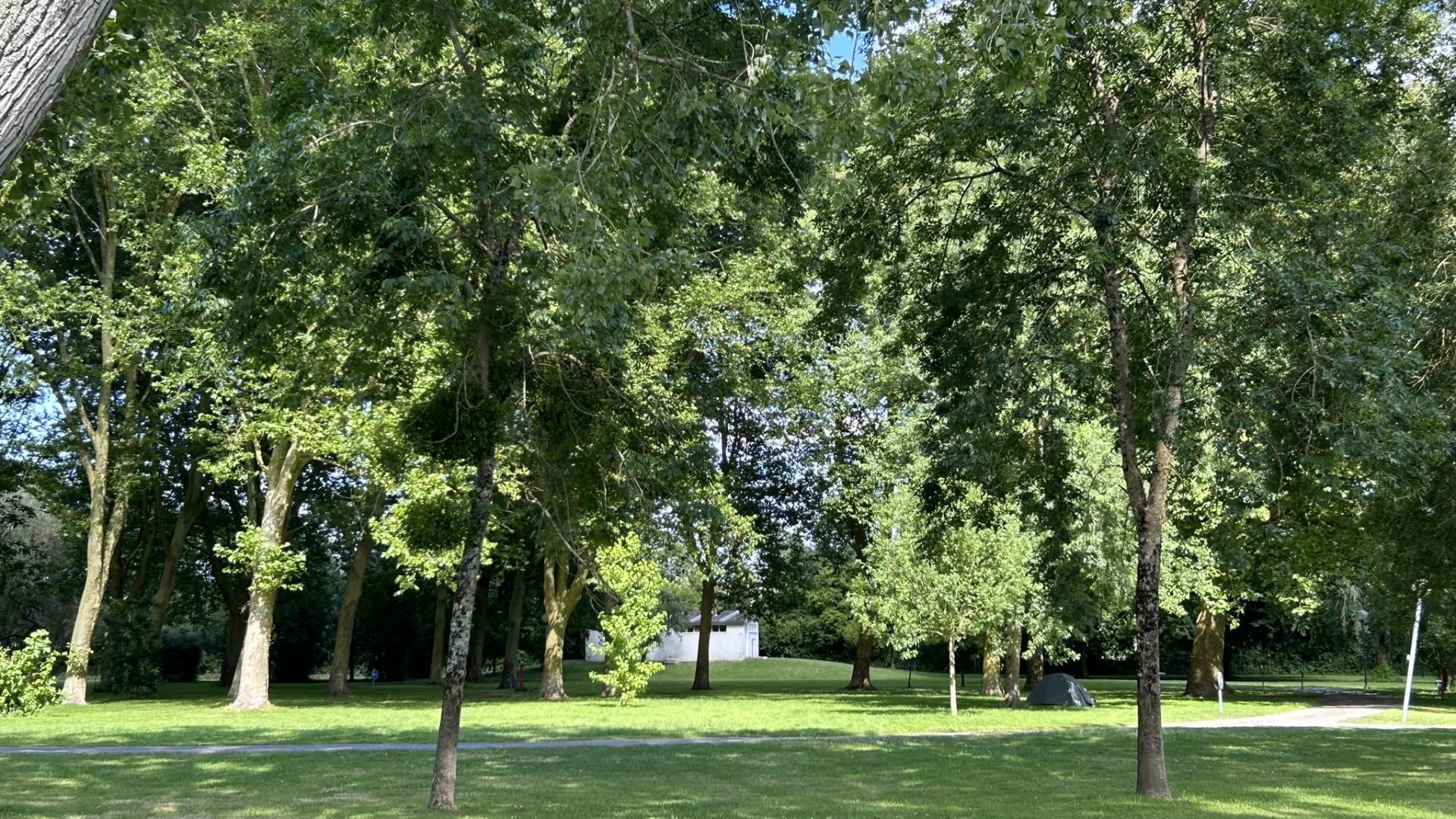 SAS Saintes Grandes Rives