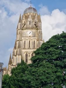 Tourism & Activities